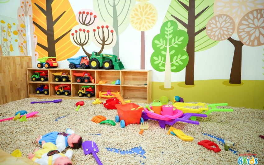 Học viện giáo trí thông minh Bkids Bình Dương
