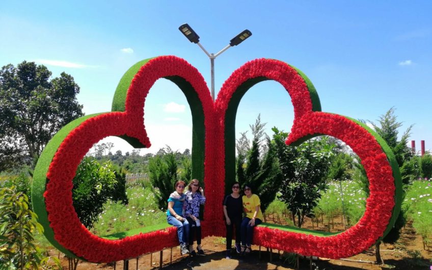 Khu Du Lịch Tà Đùng – Vịnh Hạ Long Tây Nguyên