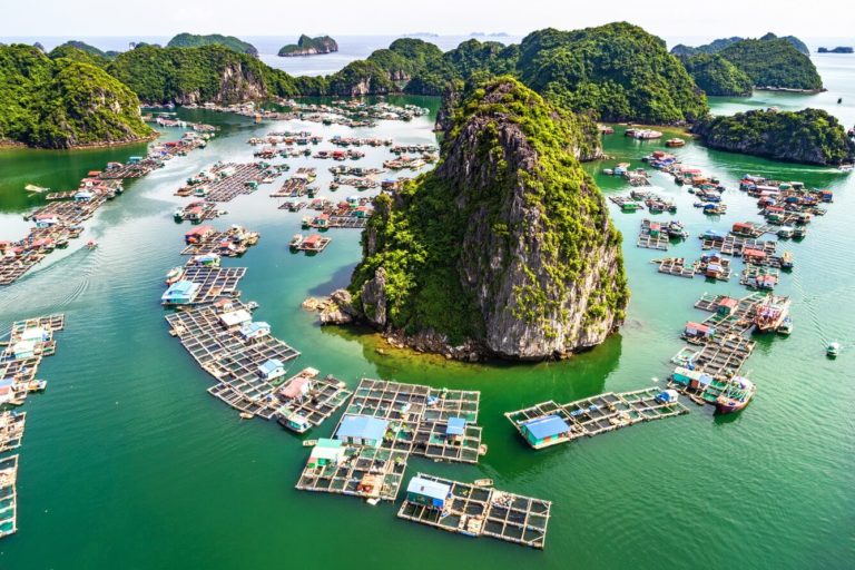 Vịnh Lan Hạ 4 Vịnh Lan Hạ