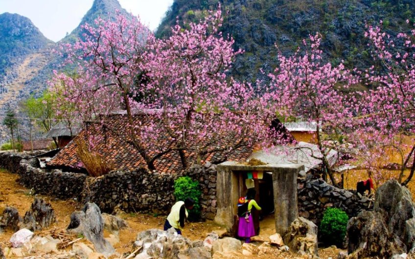 Cao Nguyên Đá Đồng Văn