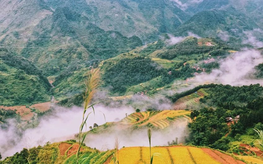 Cao Nguyên Đá Đồng Văn