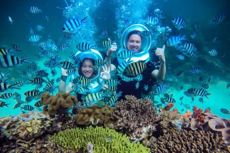 Công Viên San Hô SeaWorld – Phú Quốc