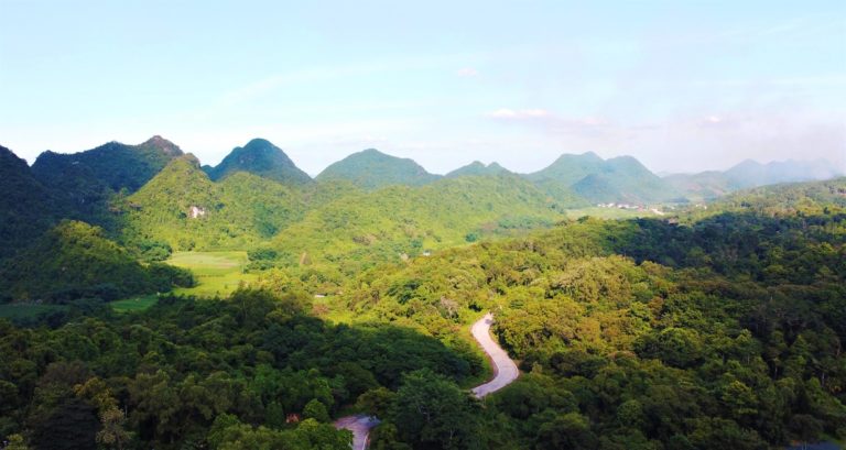 Vườn Quốc Gia Cúc Phương