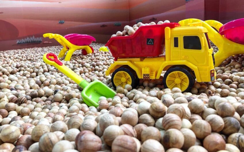 Khu Vui Chơi Rio Kids