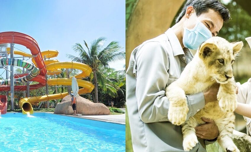 VinWonders Vũ Yên – Hải Phòng