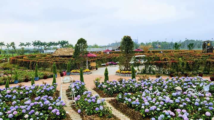 Công Viên Hoa Hồng Rose Park – Hà Nội