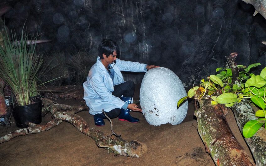 Công Viên Khủng Long Terassic