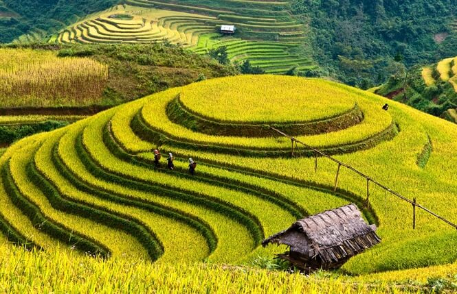 Mù Cang Chải – Yên Bái