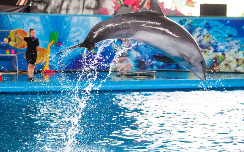 Công Viên Tuần Châu Park – Hạ Long, Quảng Ninh