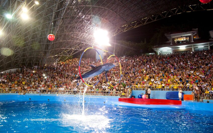 Công Viên Tuần Châu Park – Hạ Long, Quảng Ninh