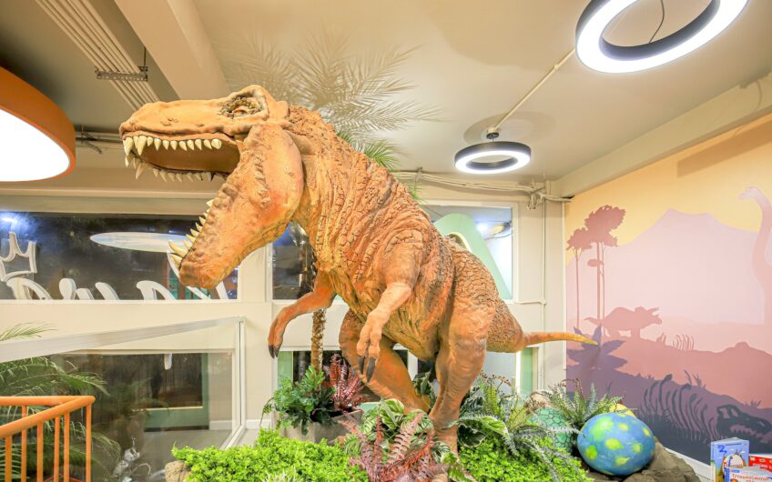 Khu Vui Chơi Độc Nhất Vô Nhị Kawaii Family & Kids Cafe – Quận 7