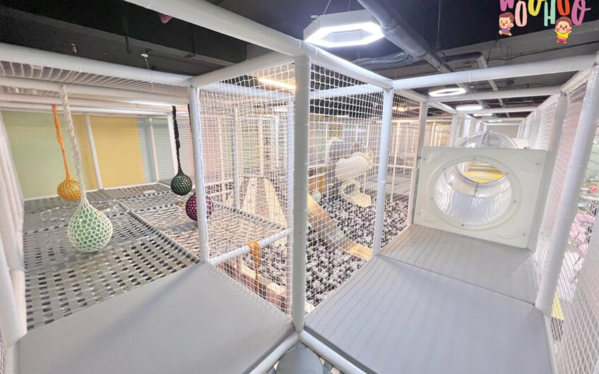 Woohoo Kids Cafe & Playground Điểm Đến Vui Chơi Giải Trí Hàng Đầu Dành Cho Các Bé Tại Hà Nội